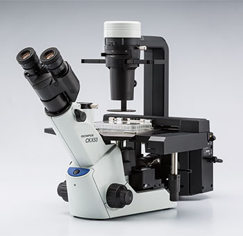 Olympus Microscope CKX53FL_4102
